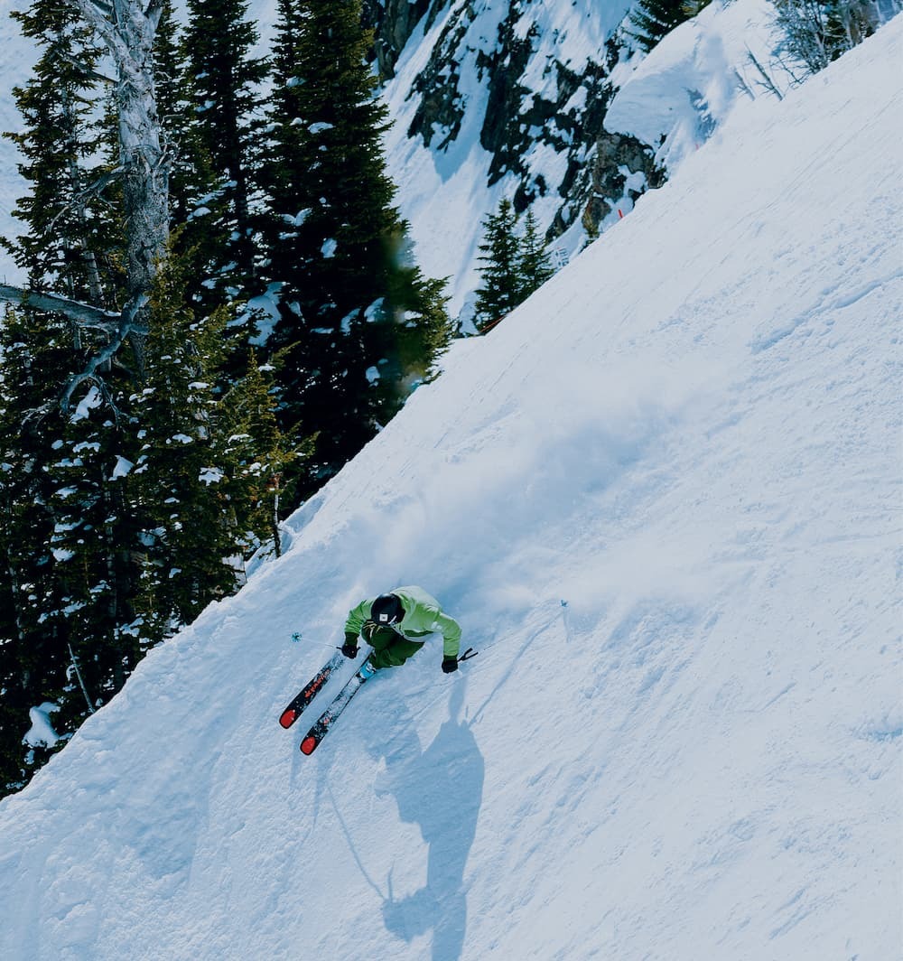 Skis